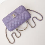 Chanel Mini Flap Bag With Top Handle AS4924